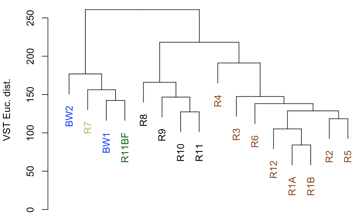 A Full Example Workflow For Amplicon Data