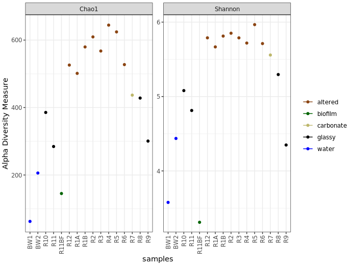 A Full Example Workflow For Amplicon Data